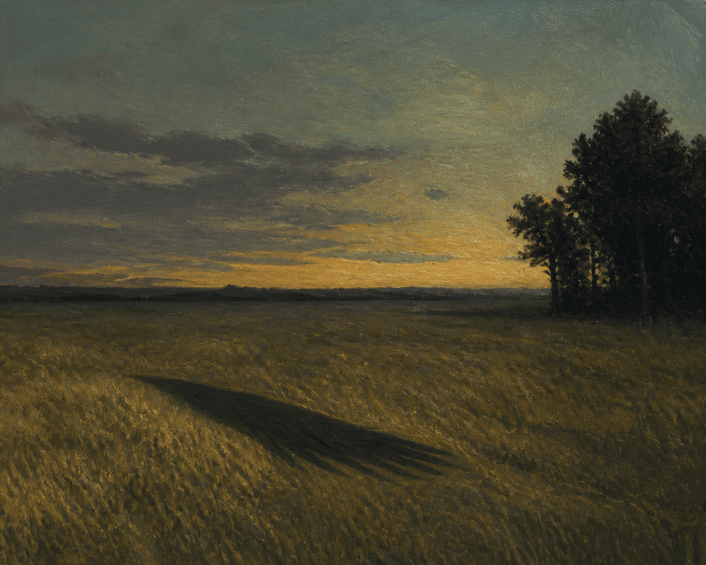 Edward Hopper style painted composition of an empty rural field at dusk, the elongated shadow of a wing crossing the grass though no bird is visible, muted t...