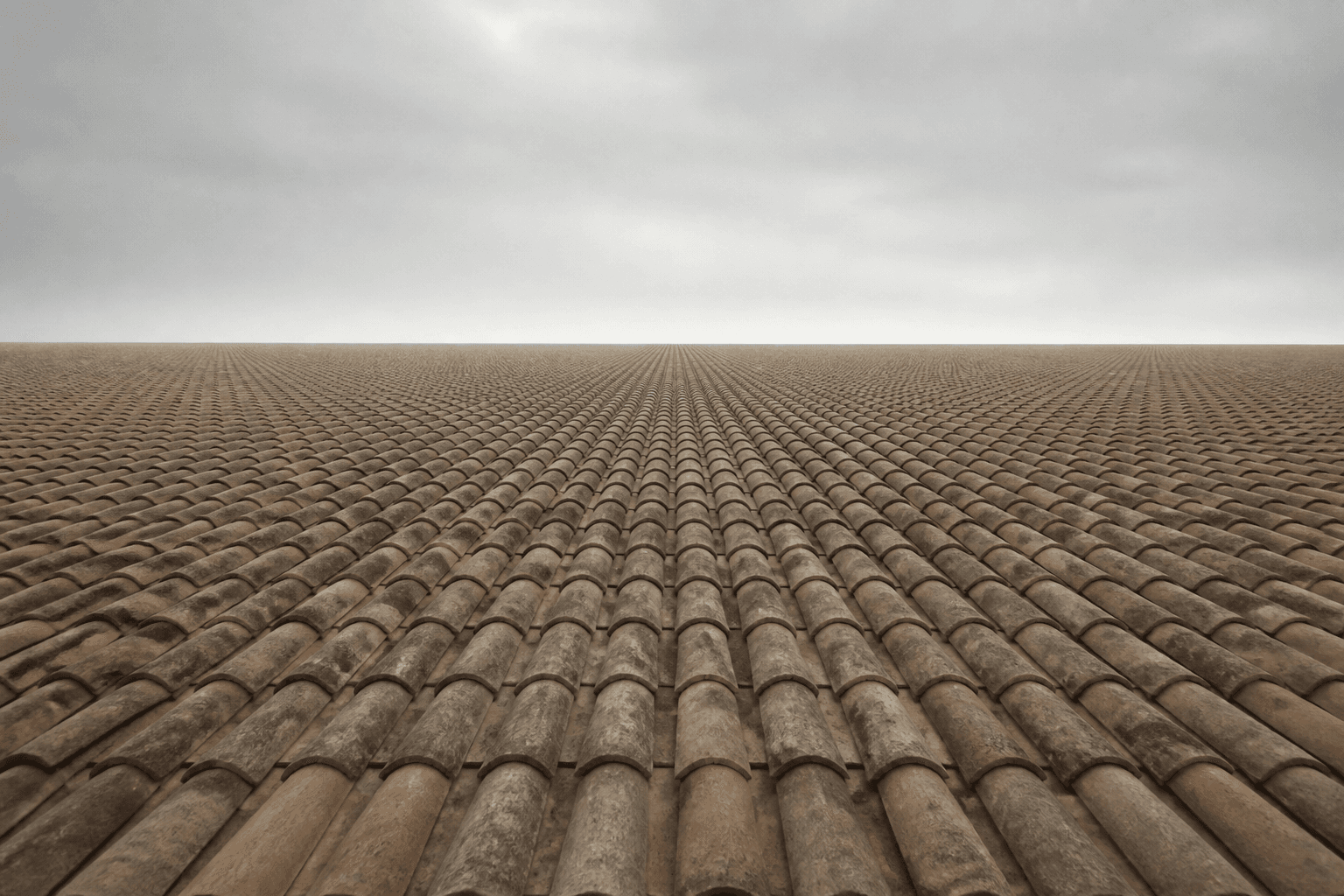 An impossible expanse of clay roof tiles, all tilted at the exact same degree, stretching to a flat horizon with no houses beneath them, as if the roofs floa...